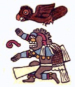 chicuahtli.jpg (12 Ko)