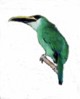 Image.xochitenacal.jpg (2 Ko)
