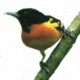 Image.xochitototl.jpg (3 Ko)