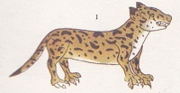 ocelotl.jpg (16,3 Ko)