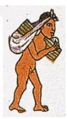 ococalli.jpg (15 Ko)