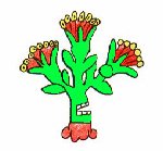 xiloxochitlan2.jpg (6 Ko)