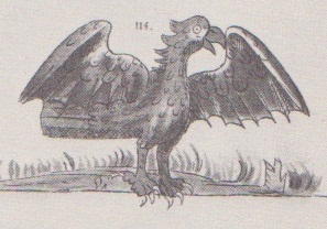 cuauhtli2.jpg (30,2 Ko)