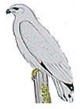 iztaccuauhtli.jpg (3 Ko)