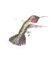quetzalhuitzitzilin.JPG
