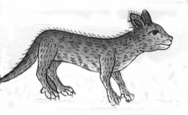 ocotochtli.jpg (21 Ko)